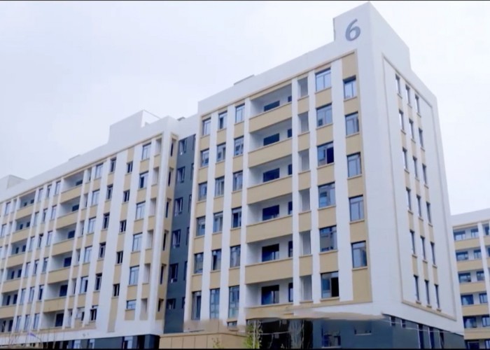 Qingdao Meilianjia International Trade Co., Ltd γραμμή παραγωγής εργοστασίων