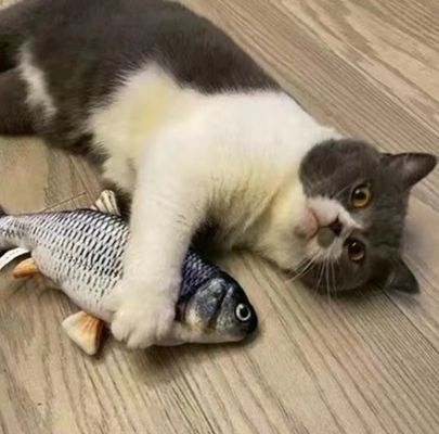 Ενεργοποιημένο Δημιουργικό 3D Carp Fish Shape Cat Toy Ασφαλές και δημοφιλές για δώρα κατοικίδιων ζώων