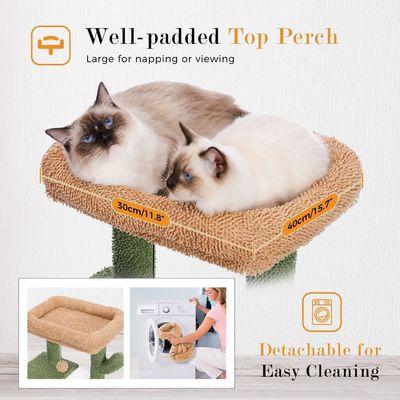 Γυψοπλαστική σύγχρονη γάτα Sisal Scratcher Κακτούς Γάτος Δέντρο με Αμάκη και Σκράφτο