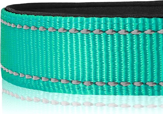 Ελαφρύ Neoprene Padded Dog Collar με αντανάκλαση C-01