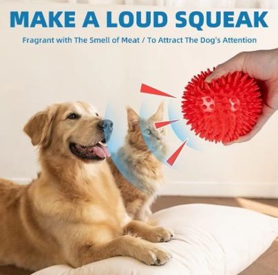 Υπηρεσία εξατομίκευσης Παρέχεται TPR Squeaky Spikey Ball Dog Chew Toy για καθαρισμό δοντιών