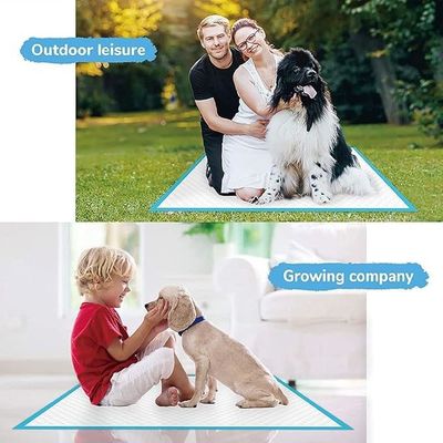 Εκπαιδευτικός σκύλος σε εξωτερικό χώρο Pee Mat Disposable Pet Diaper Dog Pad with Sustainable Materials