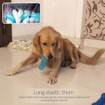 TPR Dog Bone Toy Ανθεκτικό Παιχνίδι Μαγείωσης για Επιθετικούς Μαγείροντες Καθαρισμός και εκπαίδευση δοντιών