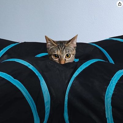 Υπηρεσία εξατομίκευσης παρέχεται 4 Way Cat Tunnel Bed Pop-up Folding Pet Tube Toy